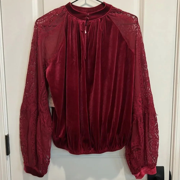 NWT Free People Raspberry Dream Team top, velvet with mesh sleeves & embroidery - Picture 8 of 10